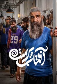 دانلود سریال ایرانی آفتاب پرست