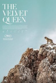 دانلود فیلم مستند ملکه مخملی The Velvet Queen 2021 با زیرنویس فارسی