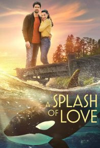دانلود فیلم فوران عشق A Splash of Love 2022 با زیرنویس فارسی