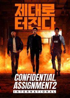 دانلود فیلم ماموریت محرمانه ۲ بین المللی Confidential Assignment 2 International 2022 با زیرنویس فارسی