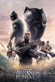 دانلود فیلم پلنگ سیاه ۲ واکاندا تا ابد Black Panther Wakanda Forever 2022 با زیرنویس فارسی