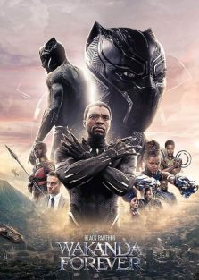 دانلود فیلم پلنگ سیاه ۲ واکاندا تا ابد Black Panther Wakanda Forever 2022 با زیرنویس فارسی